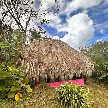 Sierra Alta Finca Boutique Villa Minca Luaran gambar