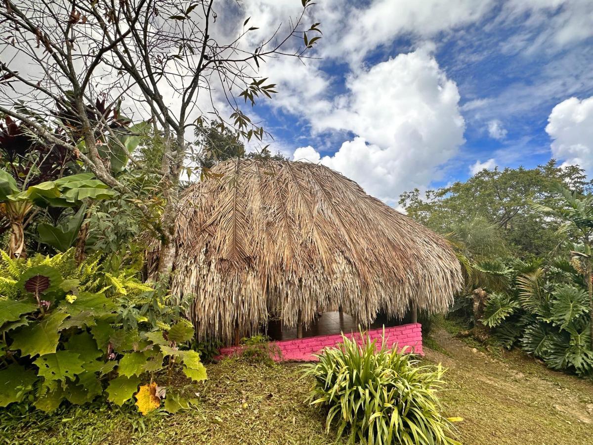 Sierra Alta Finca Boutique Villa Minca Luaran gambar