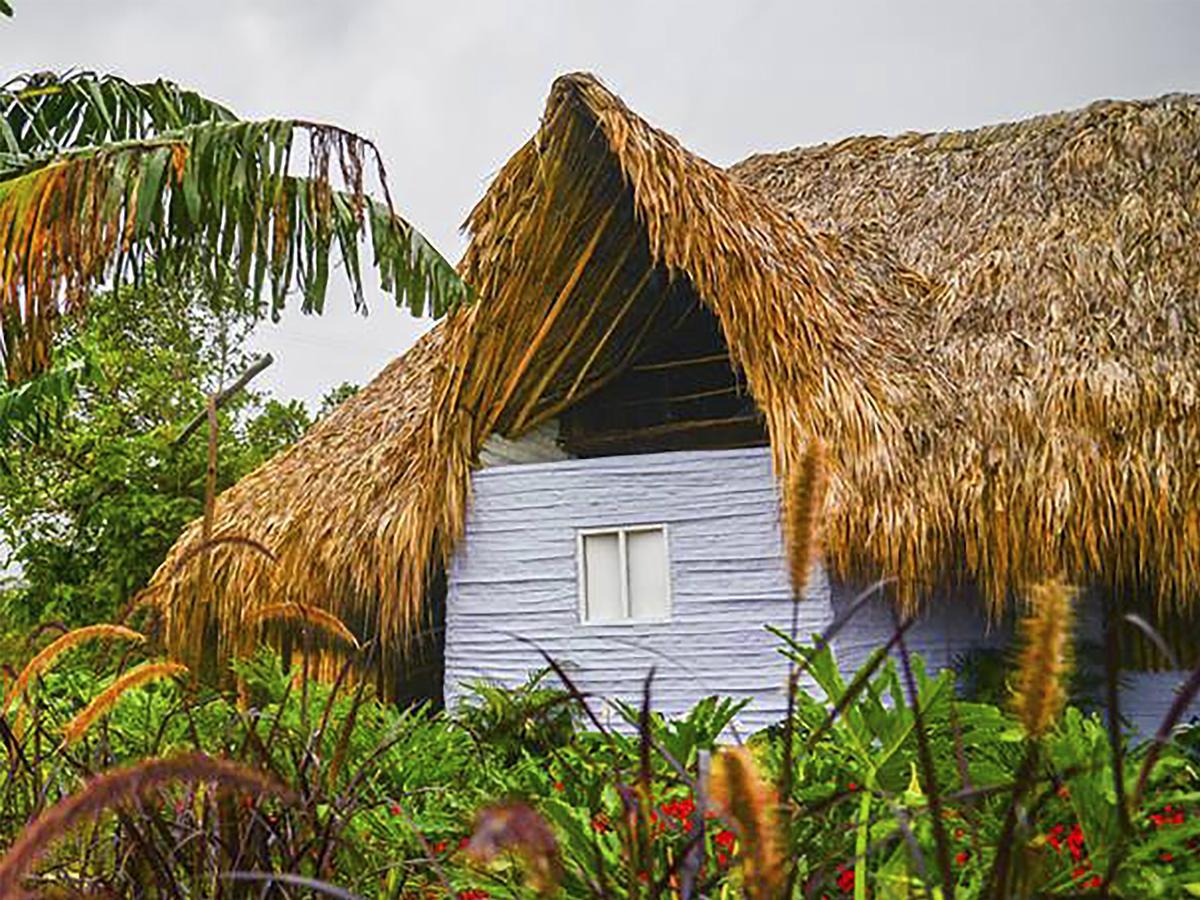 Sierra Alta Finca Boutique Villa Minca Luaran gambar